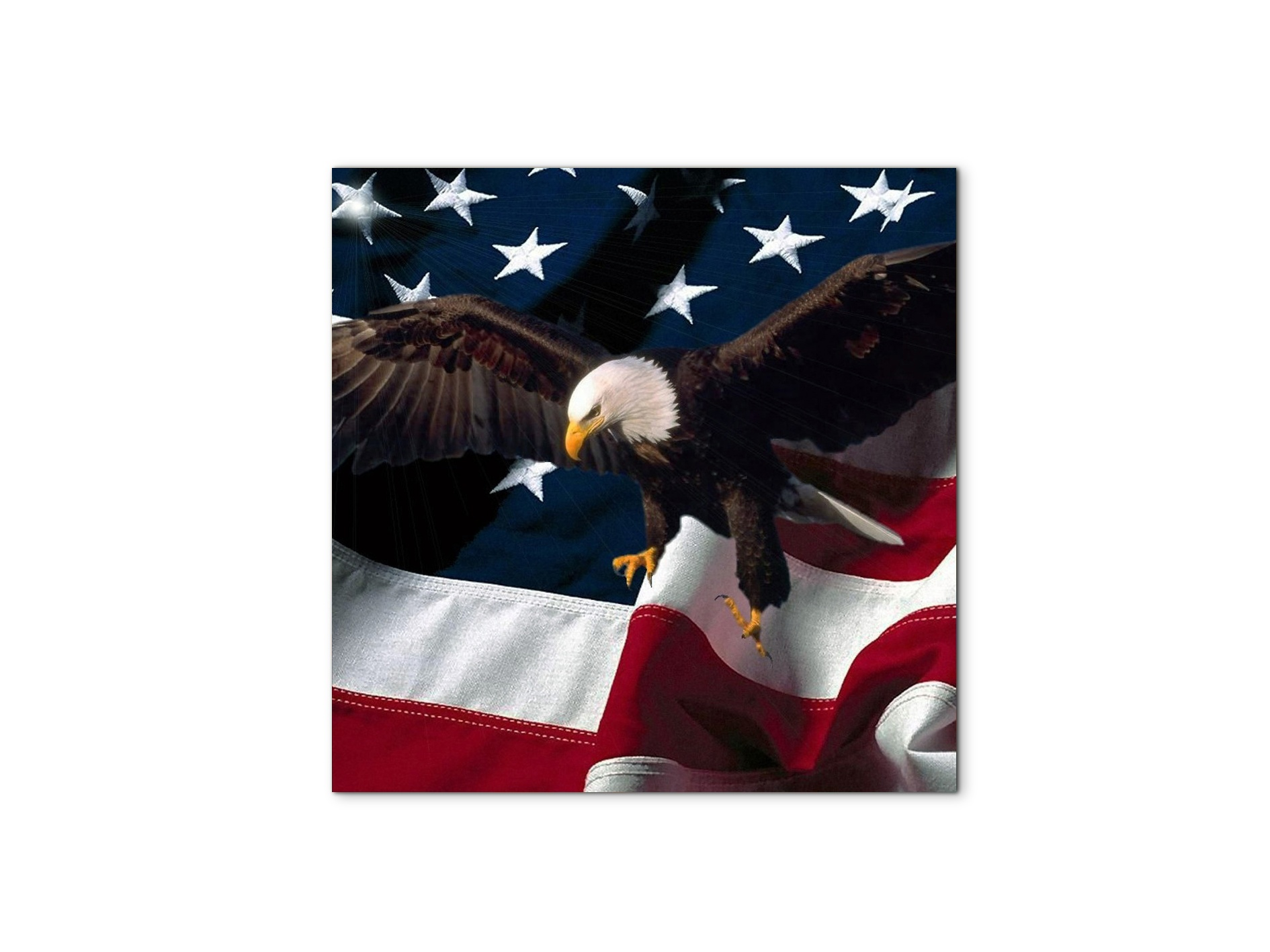 american-eagleas92334-#materiale_MetalArt Materic/dimensioni_58x58
