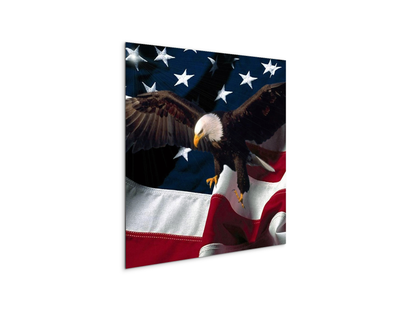 american-eagleas92334-#materiale_MetalArt Materic/dimensioni_58x58