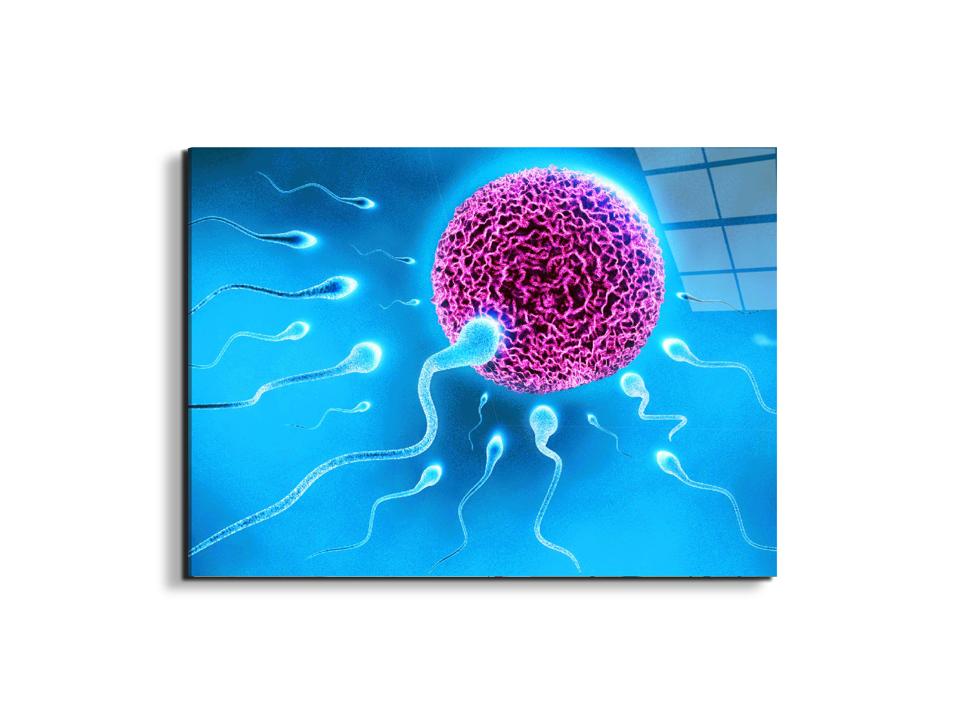 lifeas92338-#materiale_EarthArt Total Gloss/dimensioni_76x57