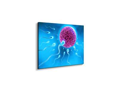 lifeas92338-#materiale_EarthArt/dimensioni_50x37,50