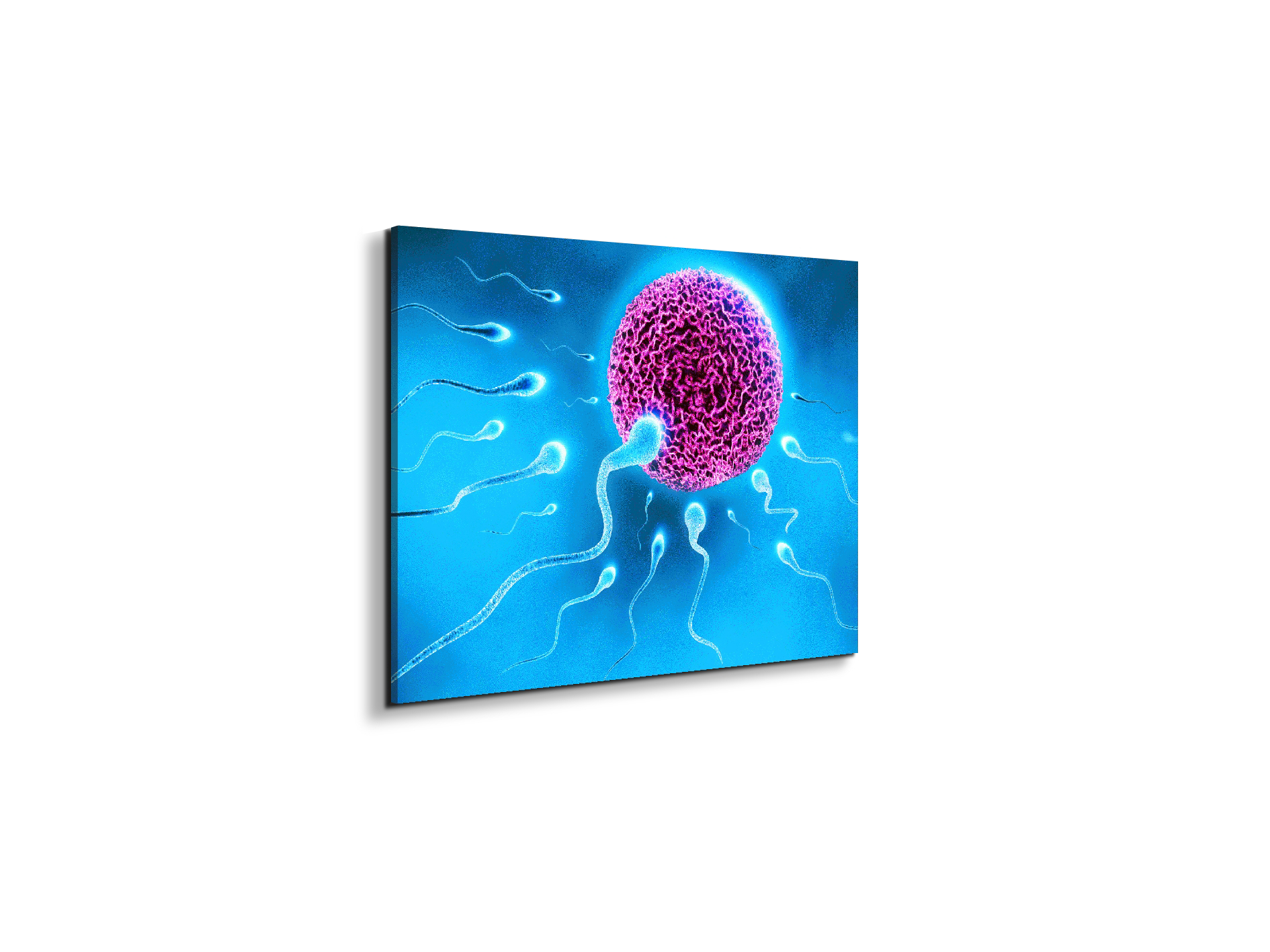 lifeas92338-#materiale_EarthArt Materic/dimensioni_50x37,50