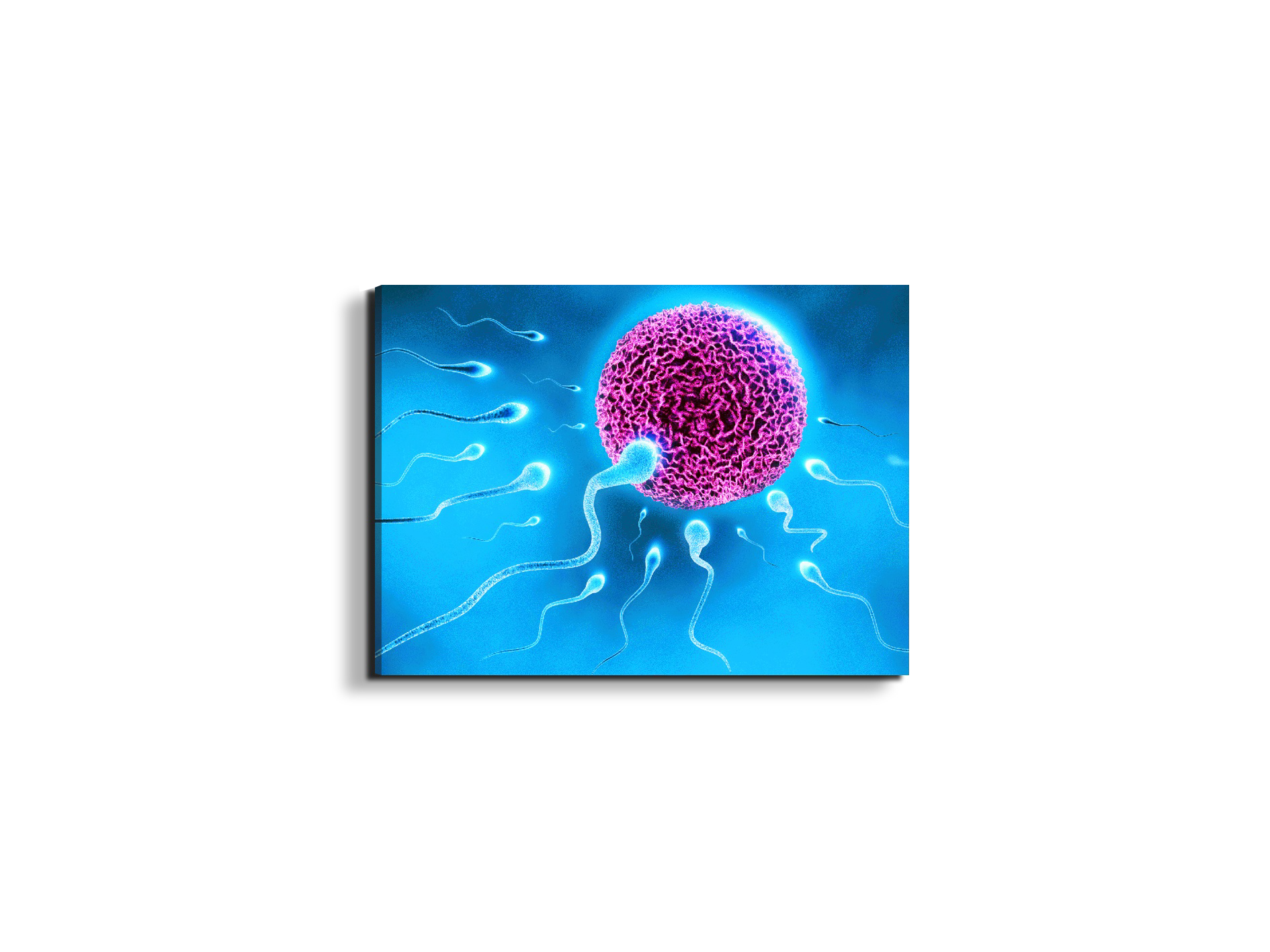 lifeas92338-#materiale_EarthArt Materic/dimensioni_50x37,50