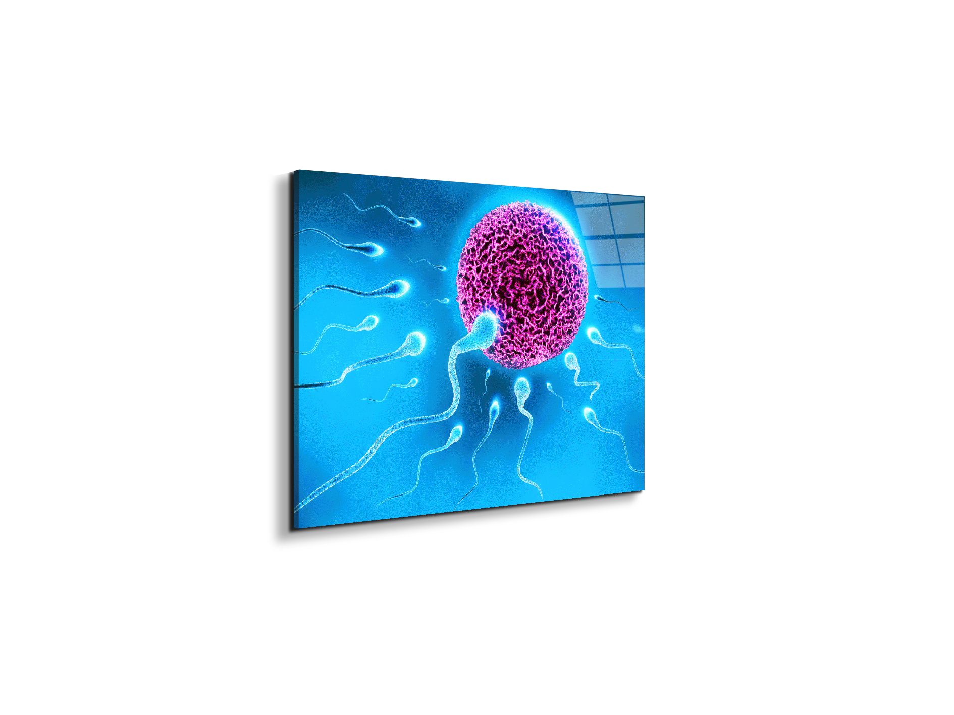 lifeas92338-#materiale_EarthArt Total Gloss/dimensioni_50x37,50