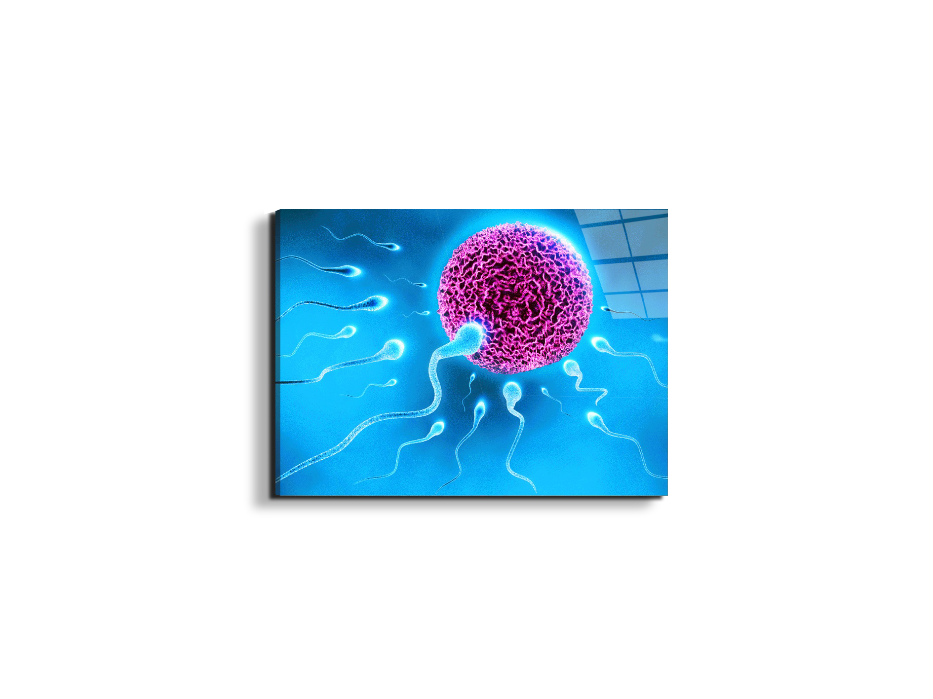 lifeas92338-#materiale_EarthArt Total Gloss/dimensioni_50x37,50