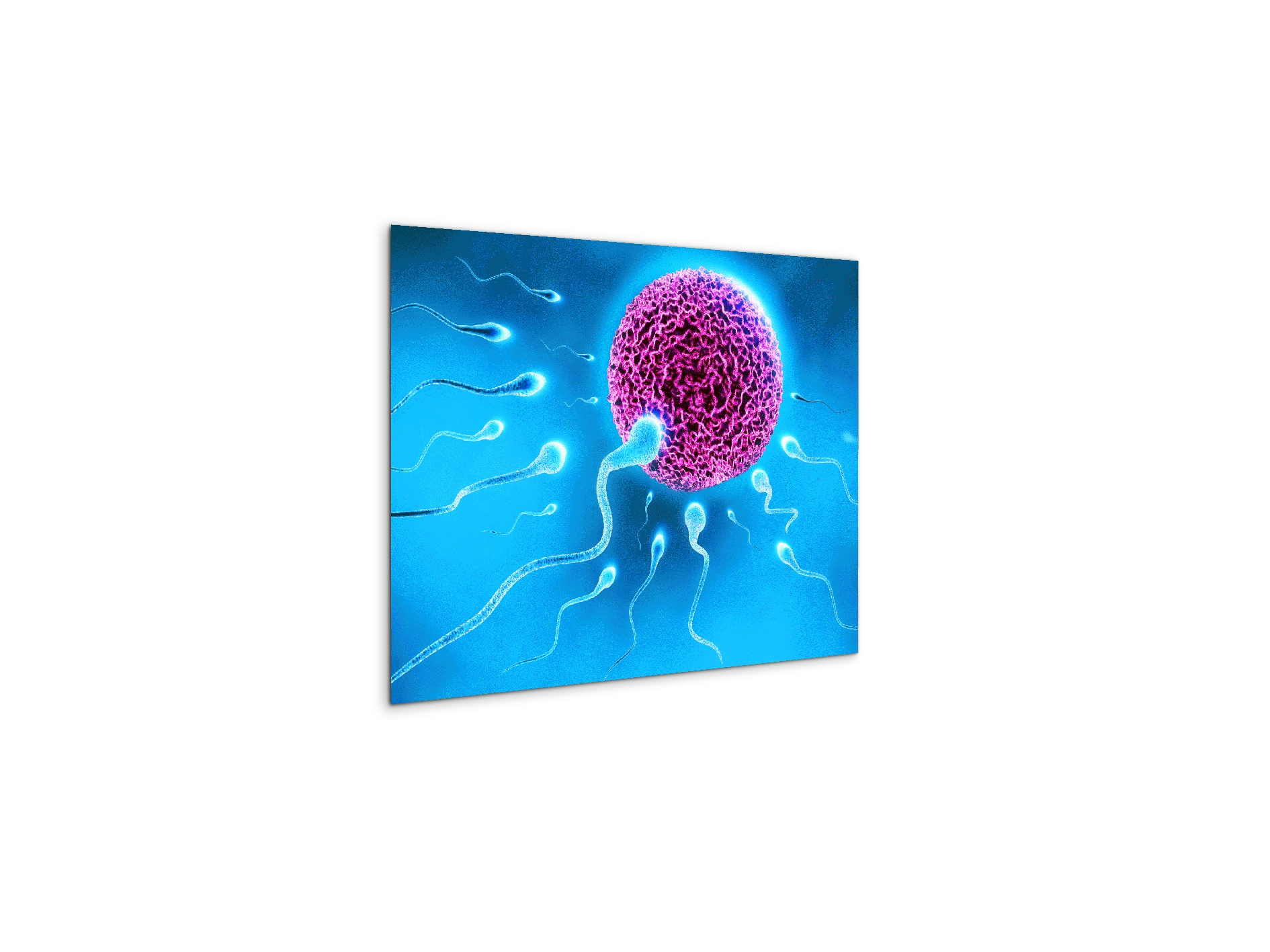 lifeas92338-#materiale_MetalArt Materic/dimensioni_50x37,50