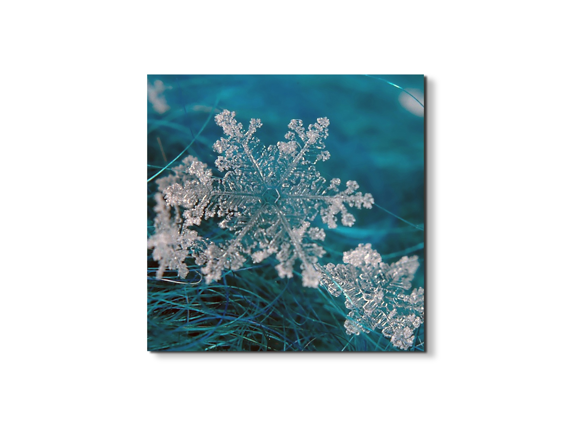 snowas92340-#materiale_EarthArt/dimensioni_58x58