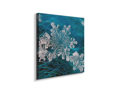 snowas92340-#materiale_EarthArt/dimensioni_58x58