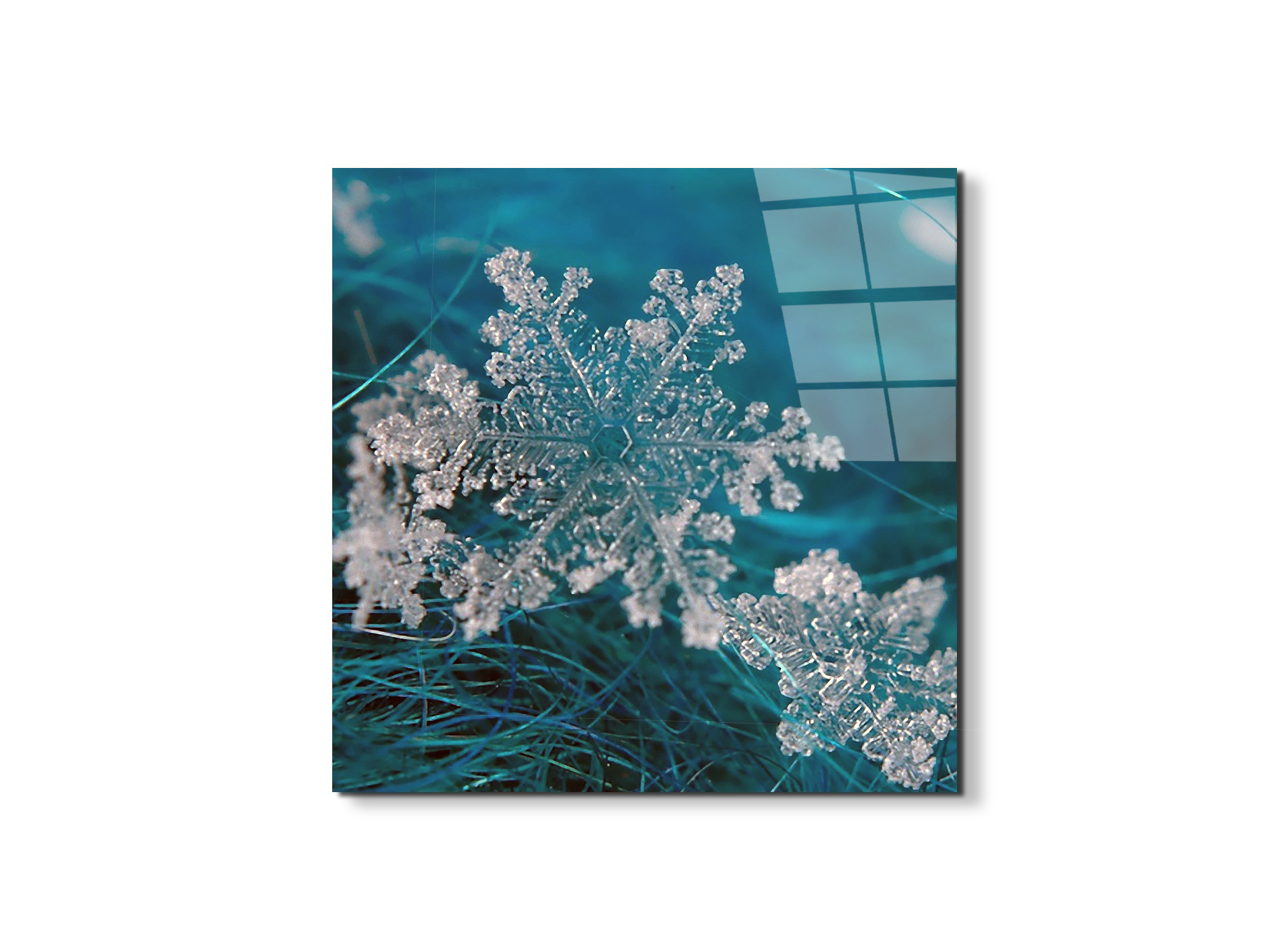 snowas92340-#materiale_EarthArt Total Gloss/dimensioni_58x58