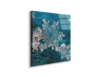 snowas92340-#materiale_EarthArt Total Gloss/dimensioni_58x58