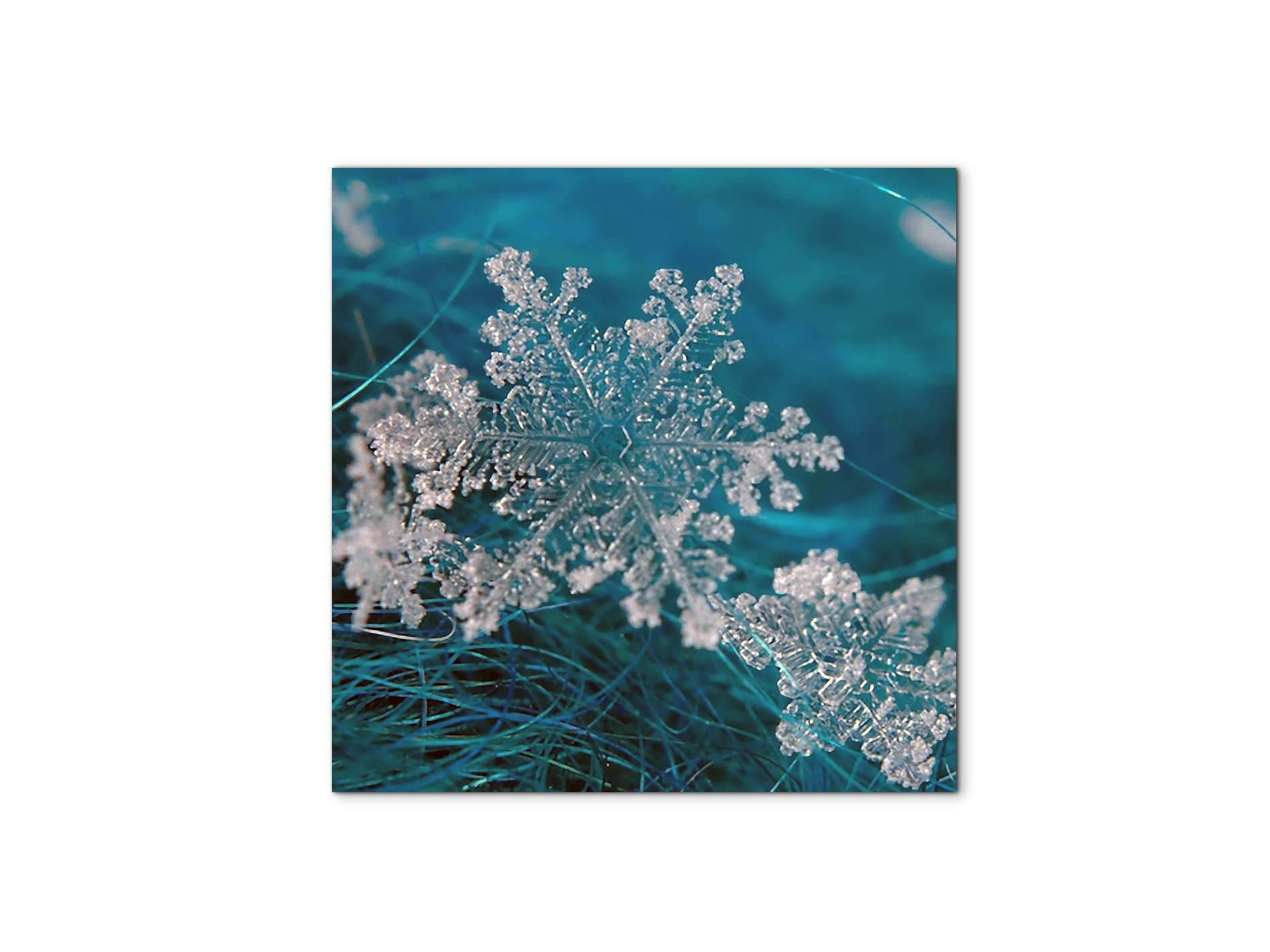 snowas92340-#materiale_MetalArt Materic/dimensioni_58x58