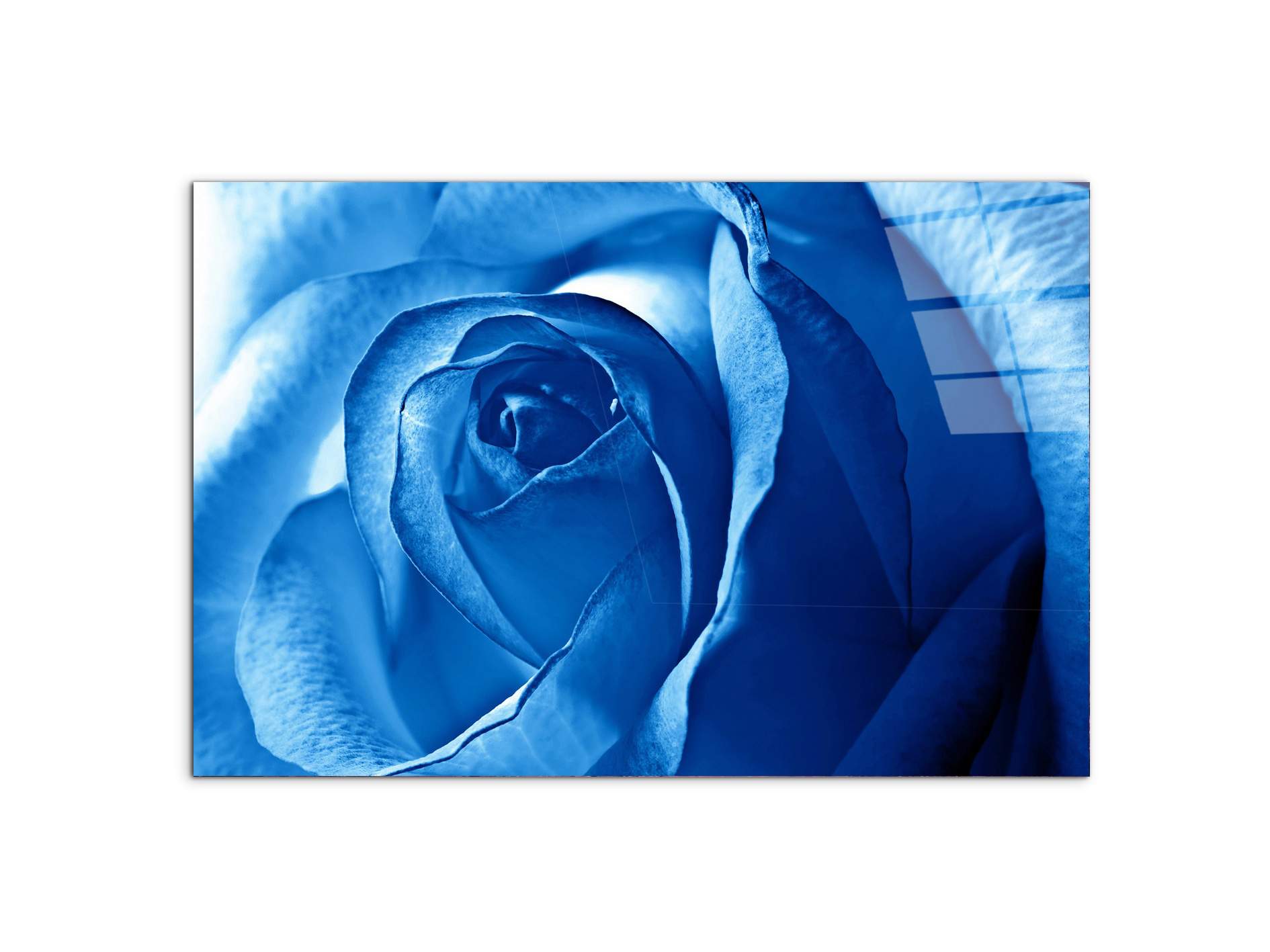 blue-roseas92342-#materiale_CrystalArt/dimensioni_79,5x53