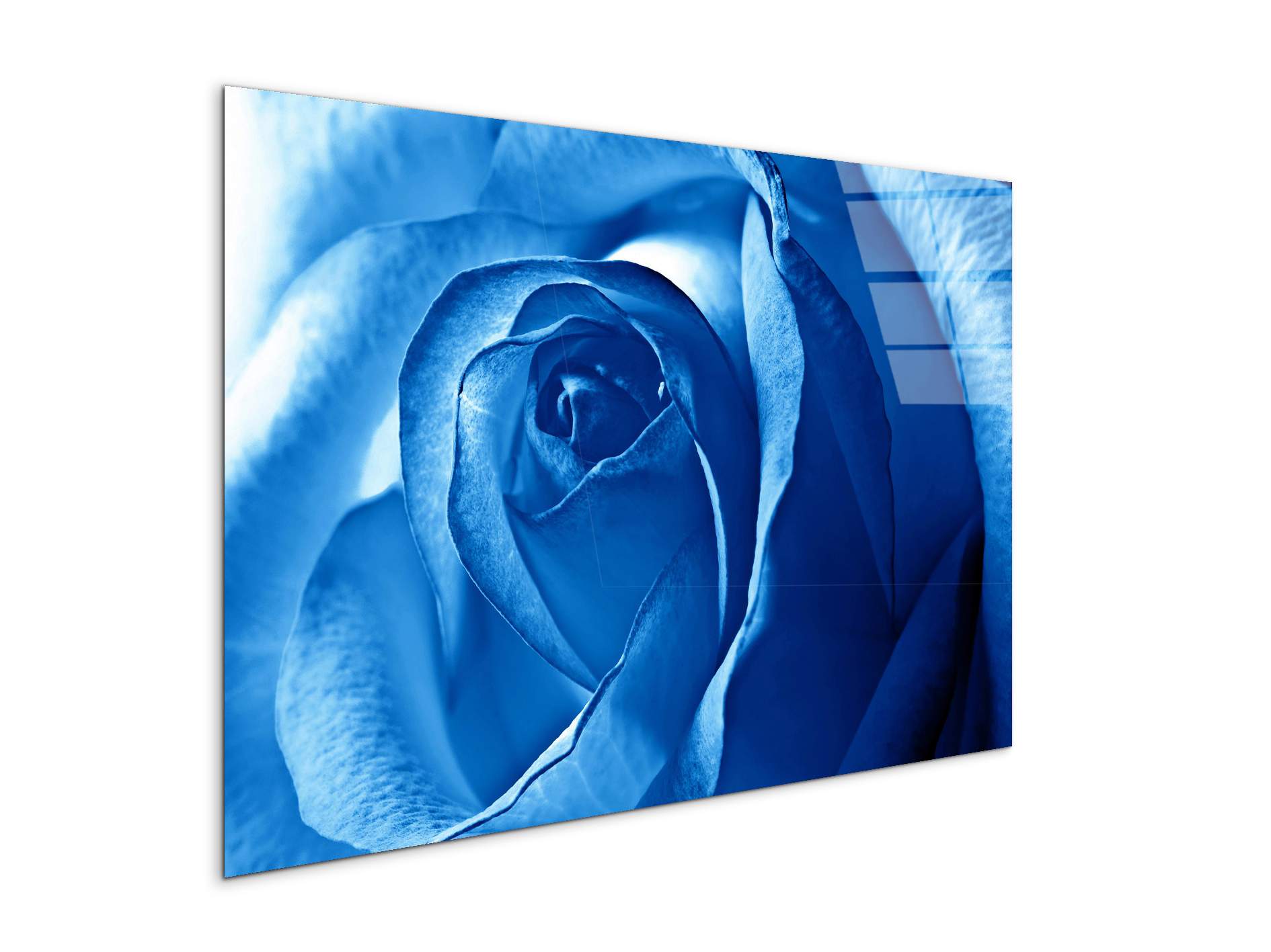 blue-roseas92342-#materiale_CrystalArt/dimensioni_79,5x53