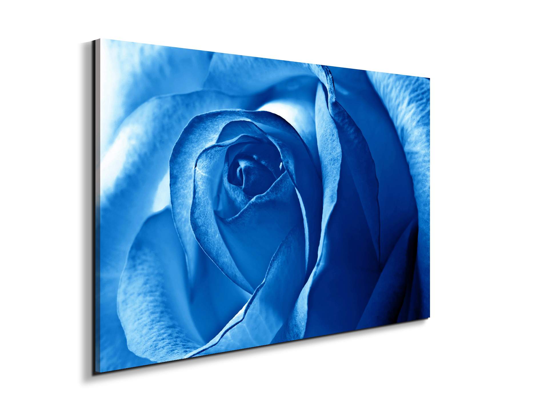 blue-roseas92342-#materiale_EarthArt/dimensioni_79,5x53