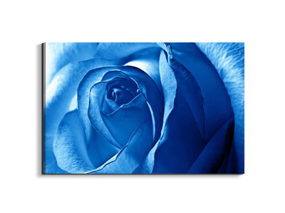 blue-roseas92342-#materiale_EarthArt Materic/dimensioni_79,5x53