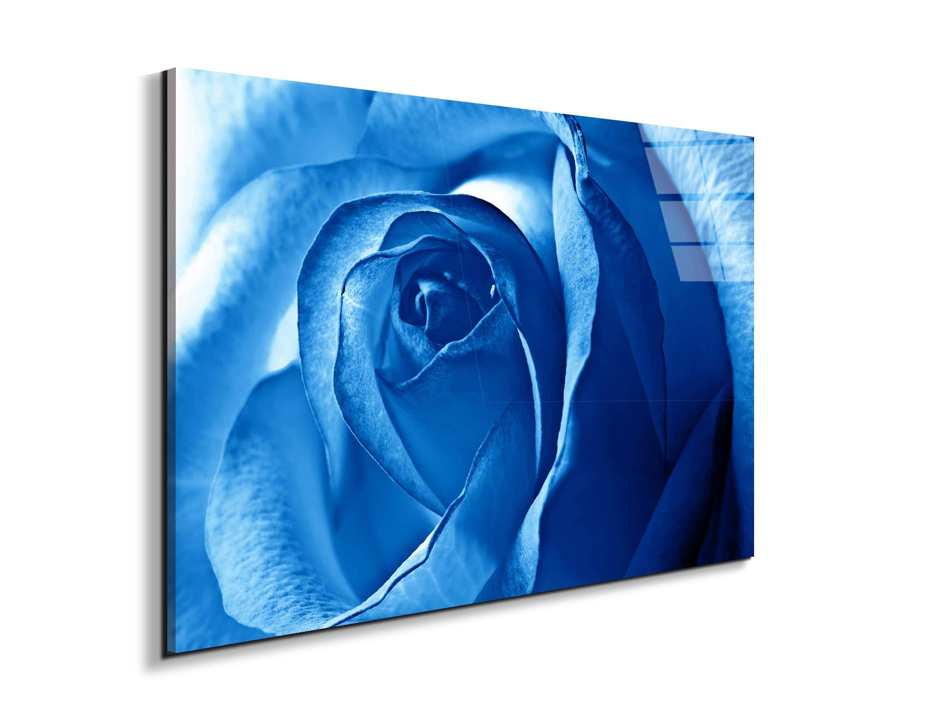 blue-roseas92342-#materiale_EarthArt Total Gloss/dimensioni_79,5x53