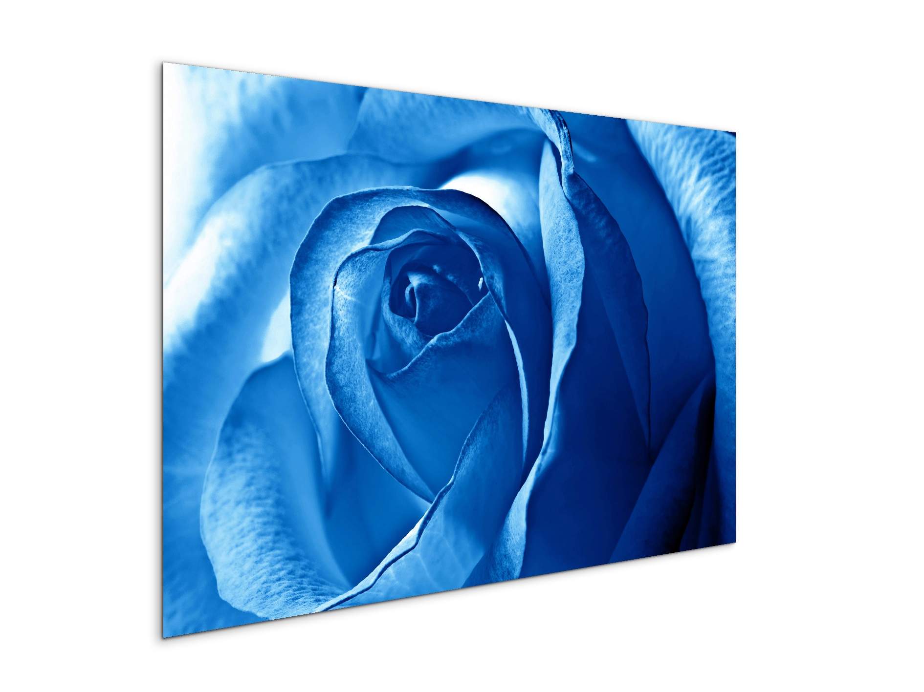blue-roseas92342-#materiale_MetalArt Materic/dimensioni_79,5x53