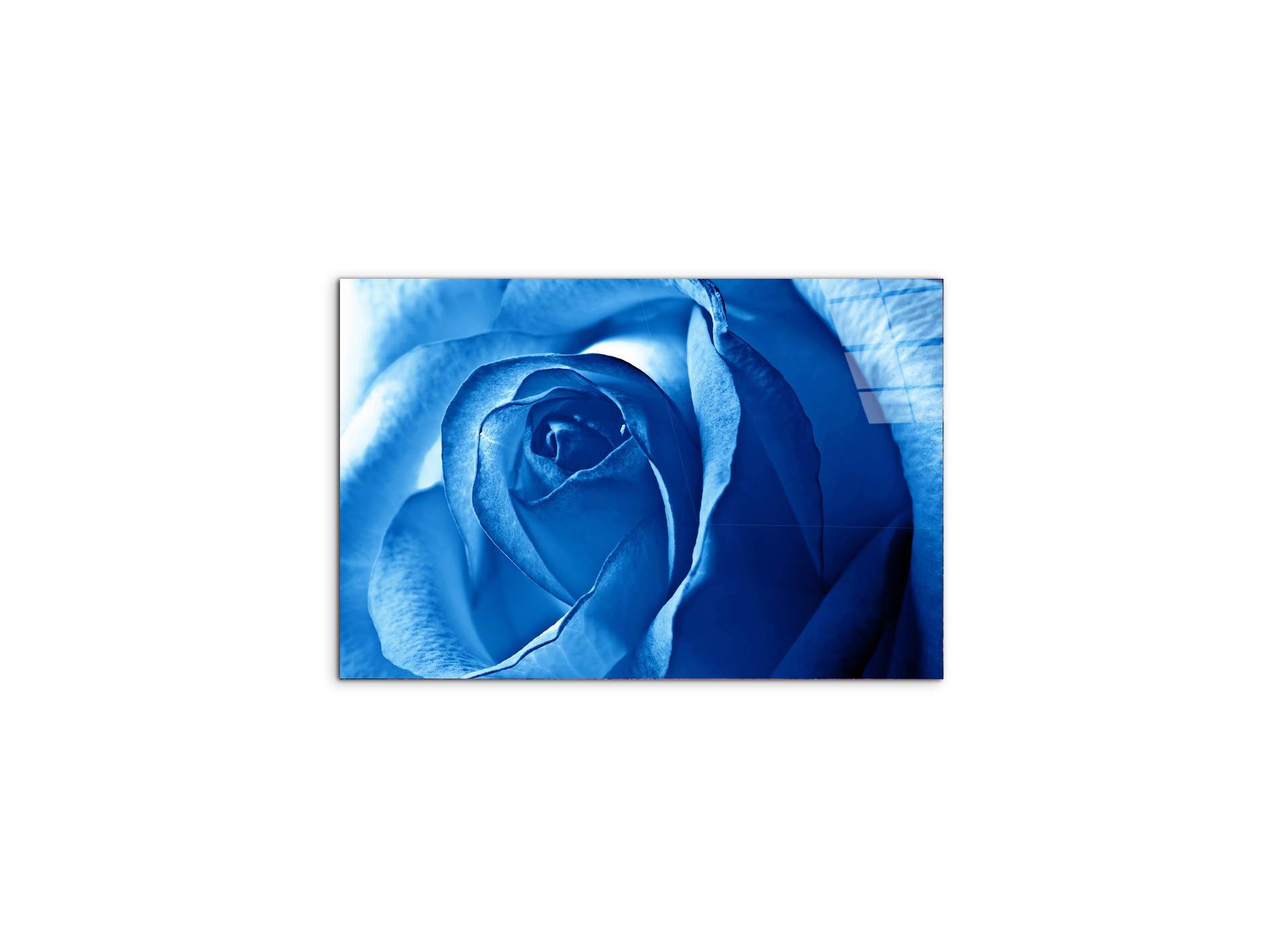 blue-roseas92342-#materiale_CrystalArt/dimensioni_50x33,33