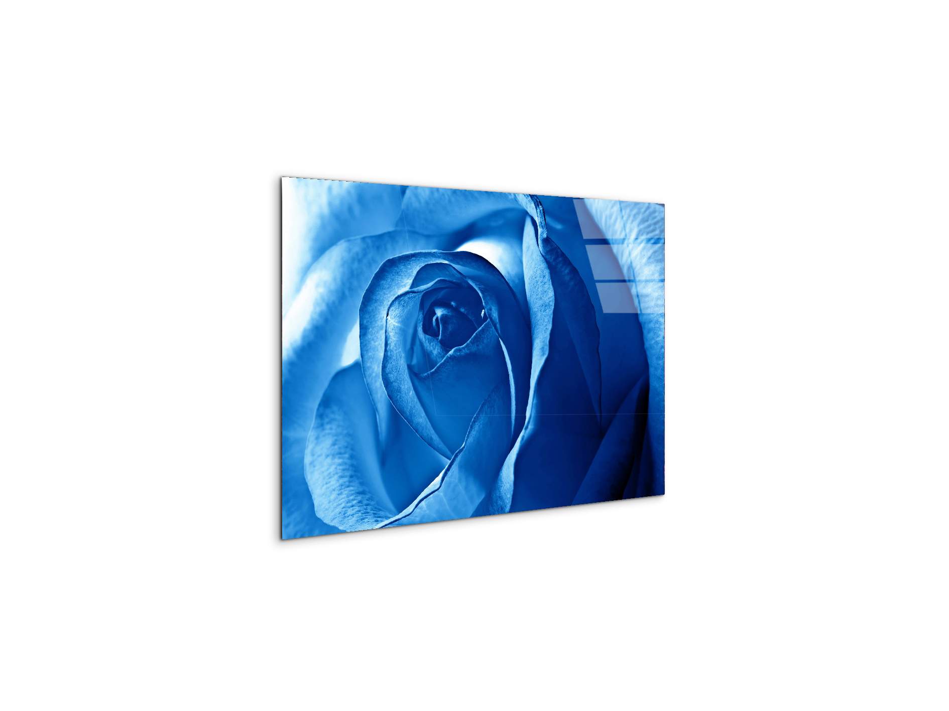 blue-roseas92342-#materiale_CrystalArt/dimensioni_50x33,33