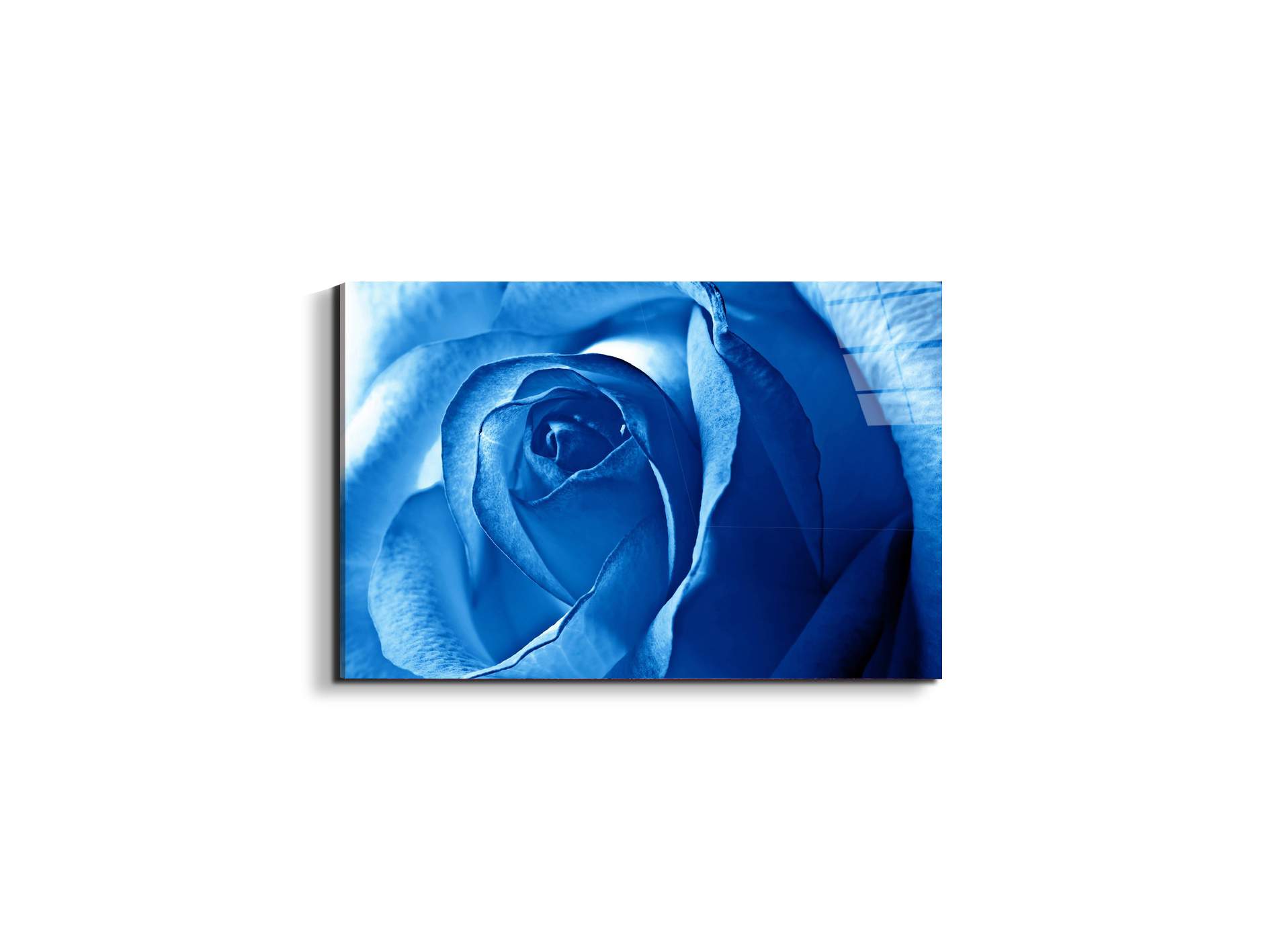 blue-roseas92342-#materiale_EarthArt Total Gloss/dimensioni_50x33,33