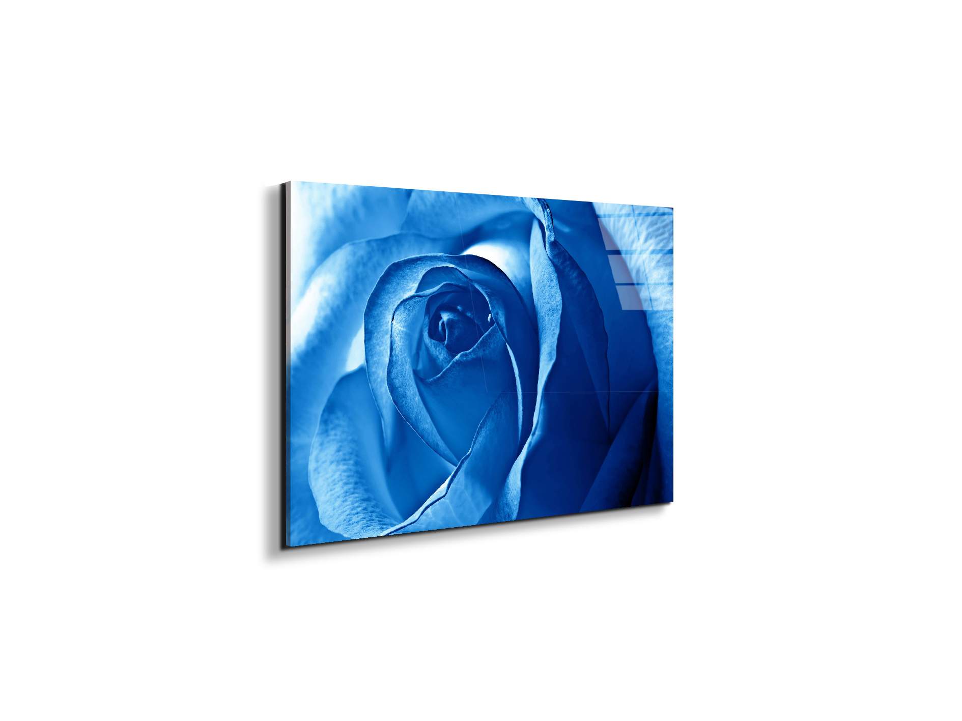 blue-roseas92342-#materiale_EarthArt Total Gloss/dimensioni_50x33,33