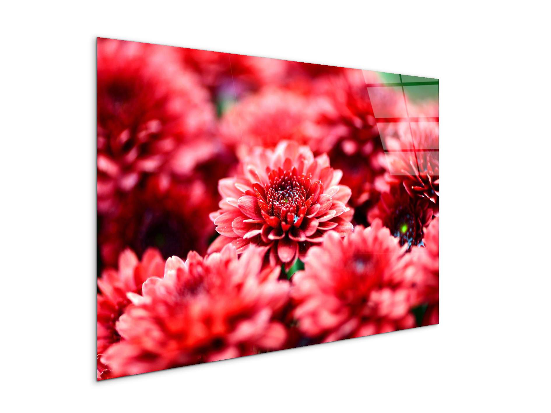 red-flowersas92347-#materiale_CrystalArt/dimensioni_79,5x53