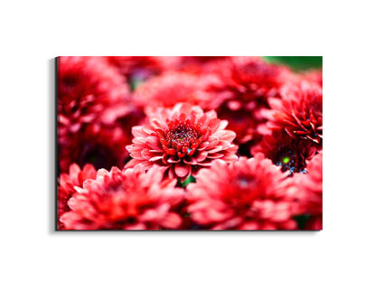 red-flowersas92347-#materiale_EarthArt Materic/dimensioni_79,5x53