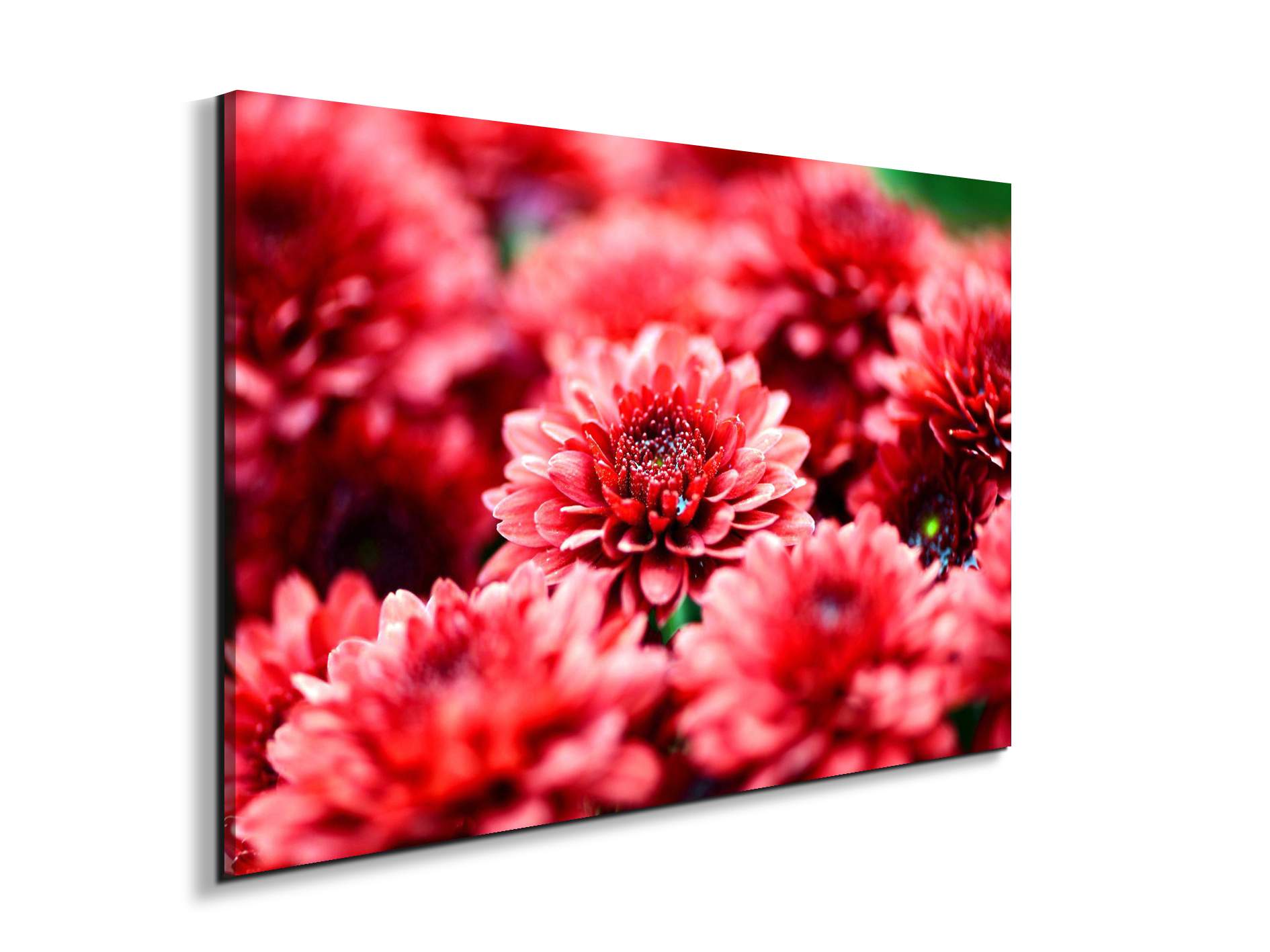 red-flowersas92347-#materiale_EarthArt Materic/dimensioni_79,5x53