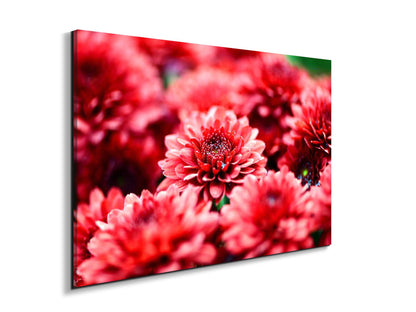 red-flowersas92347-#materiale_EarthArt Materic/dimensioni_79,5x53