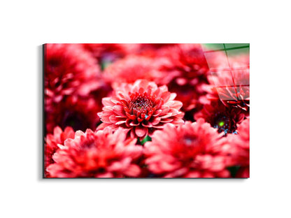 red-flowersas92347-#materiale_EarthArt Total Gloss/dimensioni_79,5x53