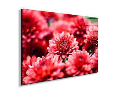 red-flowersas92347-#materiale_EarthArt Total Gloss/dimensioni_79,5x53