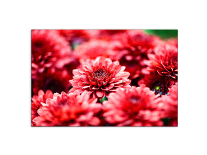 red-flowersas92347-#materiale_MetalArt Materic/dimensioni_79,5x53