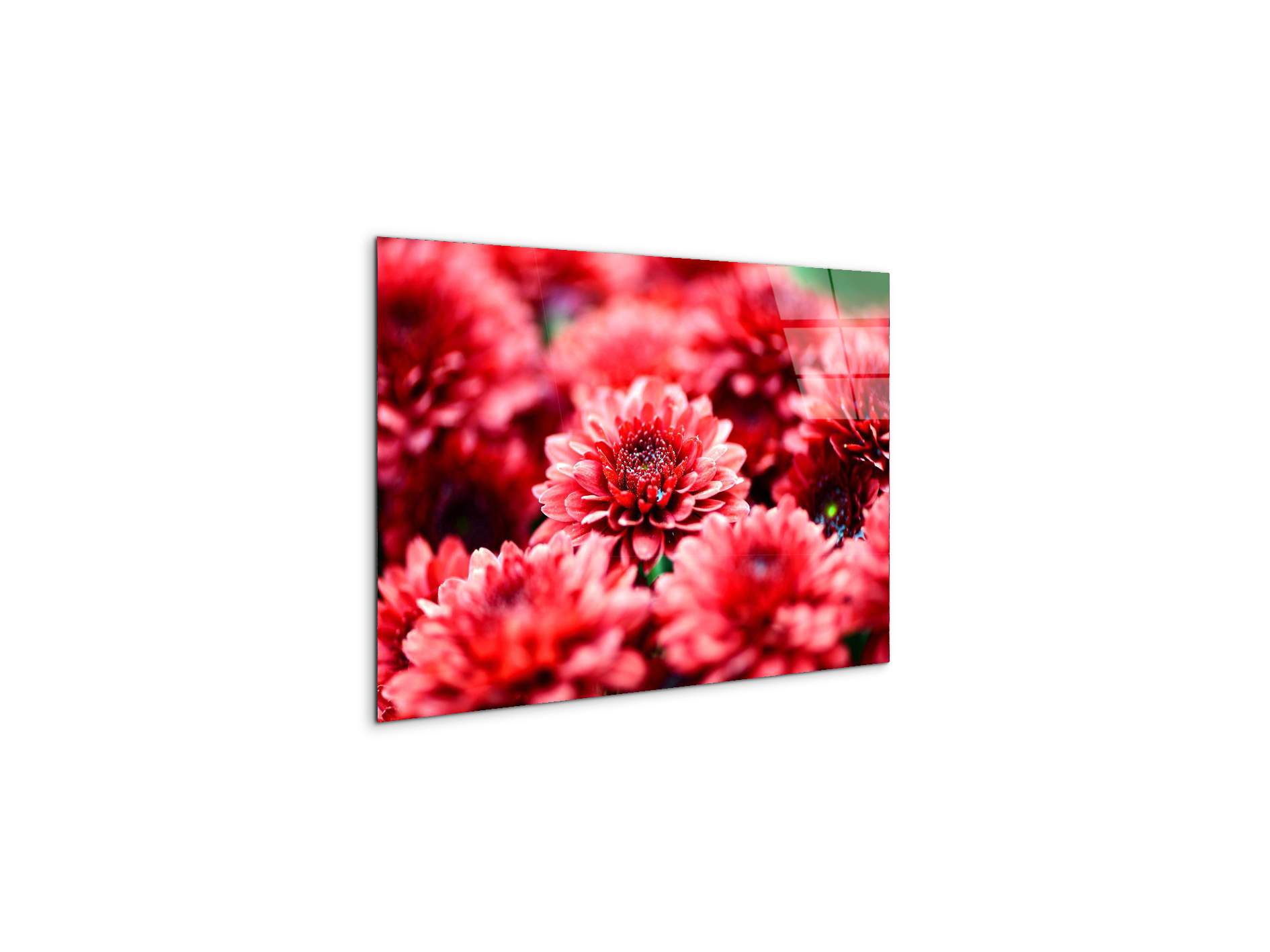 red-flowersas92347-#materiale_CrystalArt/dimensioni_50x33,33
