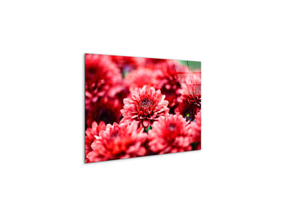 red-flowersas92347-#materiale_CrystalArt/dimensioni_50x33,33