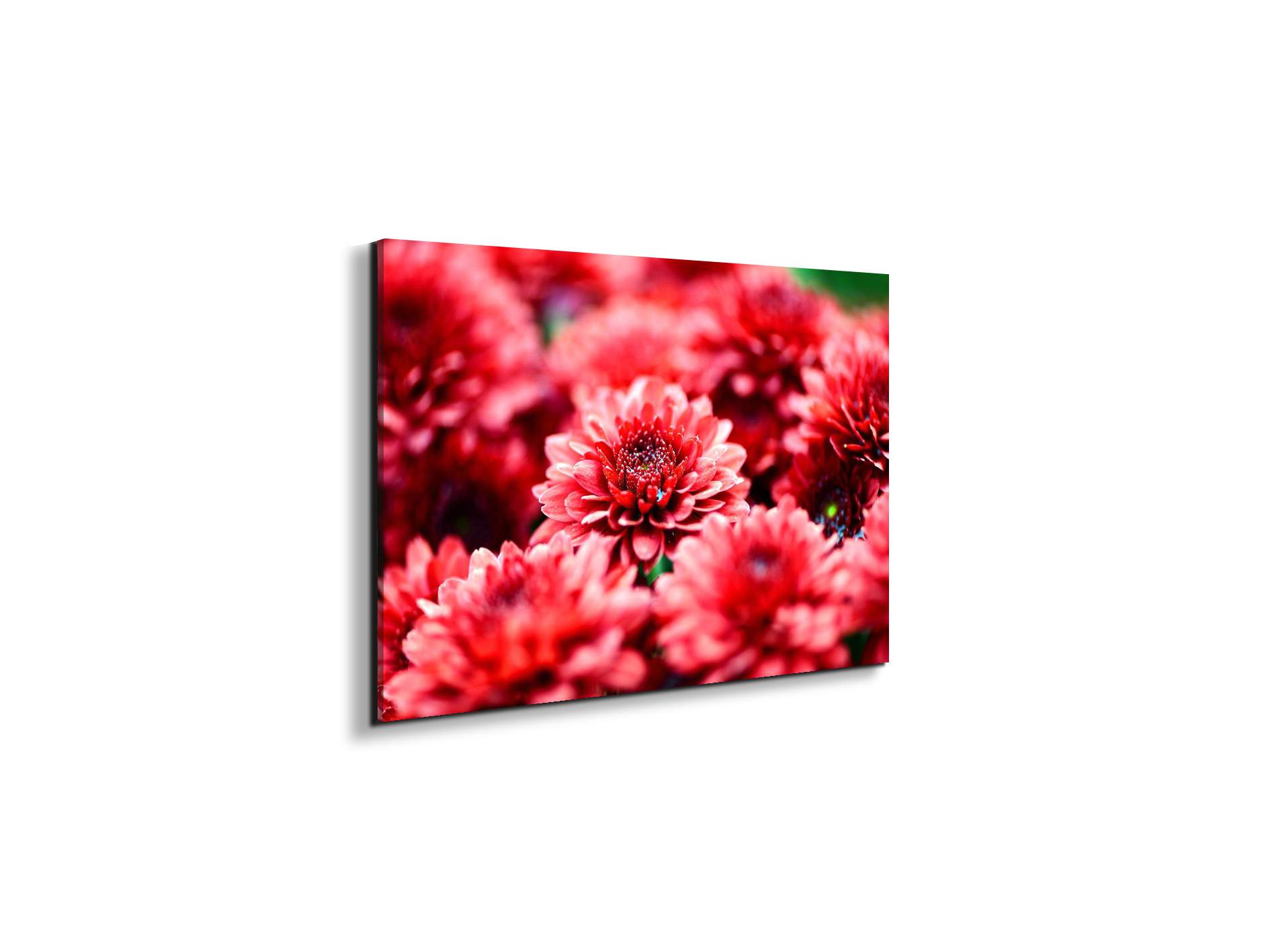 red-flowersas92347-#materiale_EarthArt Materic/dimensioni_50x33,33