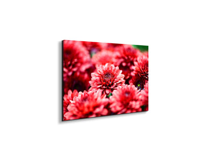 red-flowersas92347-#materiale_EarthArt Materic/dimensioni_50x33,33