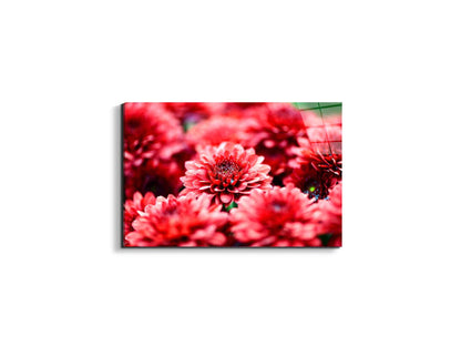 red-flowersas92347-#materiale_EarthArt Total Gloss/dimensioni_50x33,33