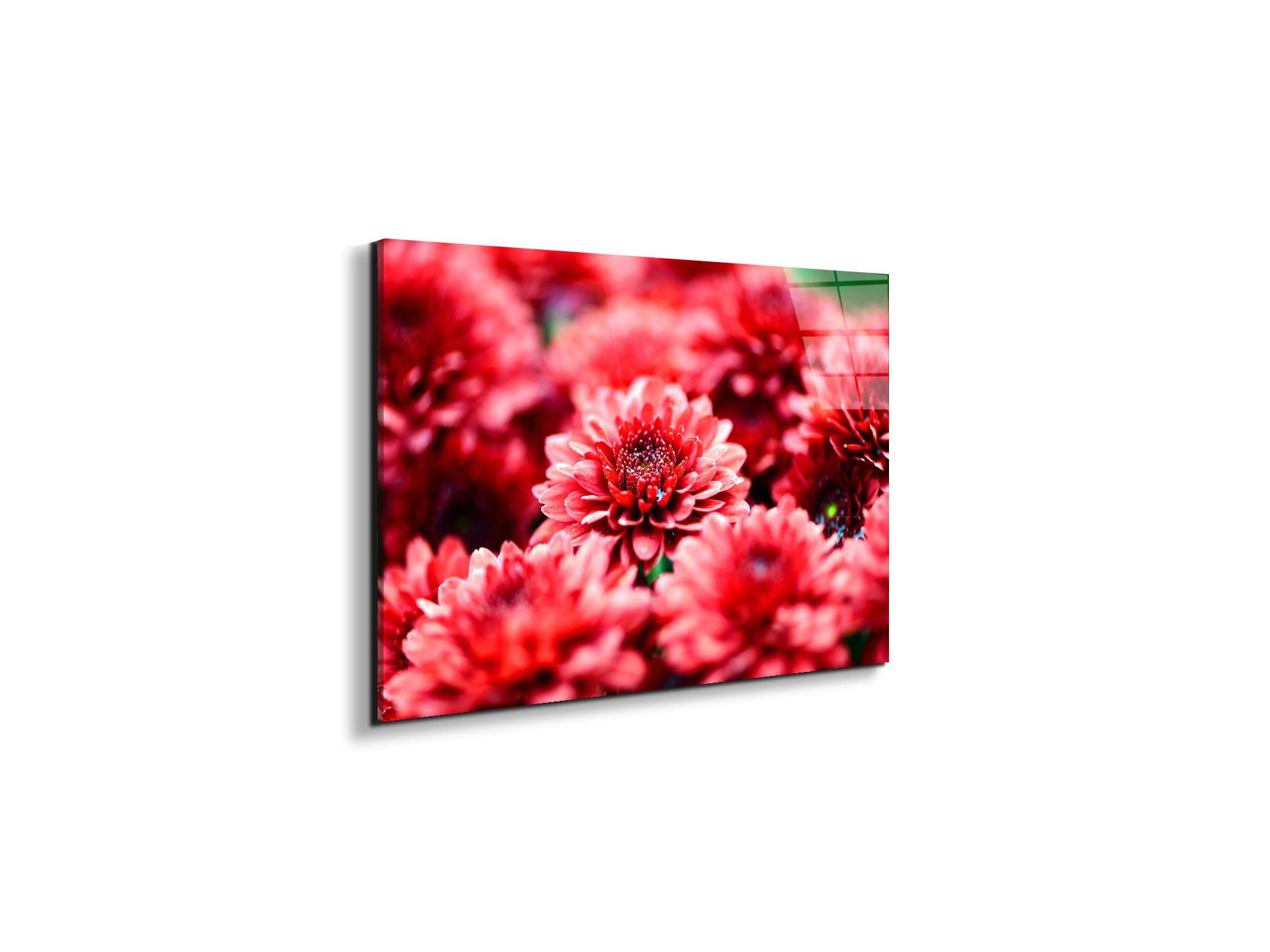 red-flowersas92347-#materiale_EarthArt Total Gloss/dimensioni_50x33,33