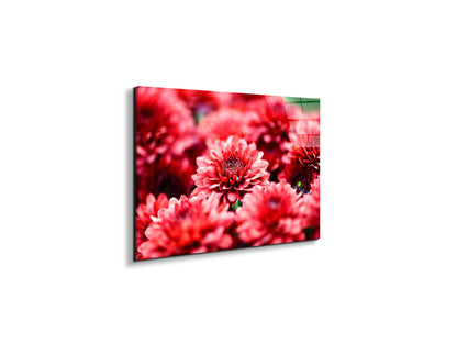 red-flowersas92347-#materiale_EarthArt Total Gloss/dimensioni_50x33,33