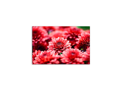red-flowersas92347-#materiale_MetalArt Materic/dimensioni_50x33,33