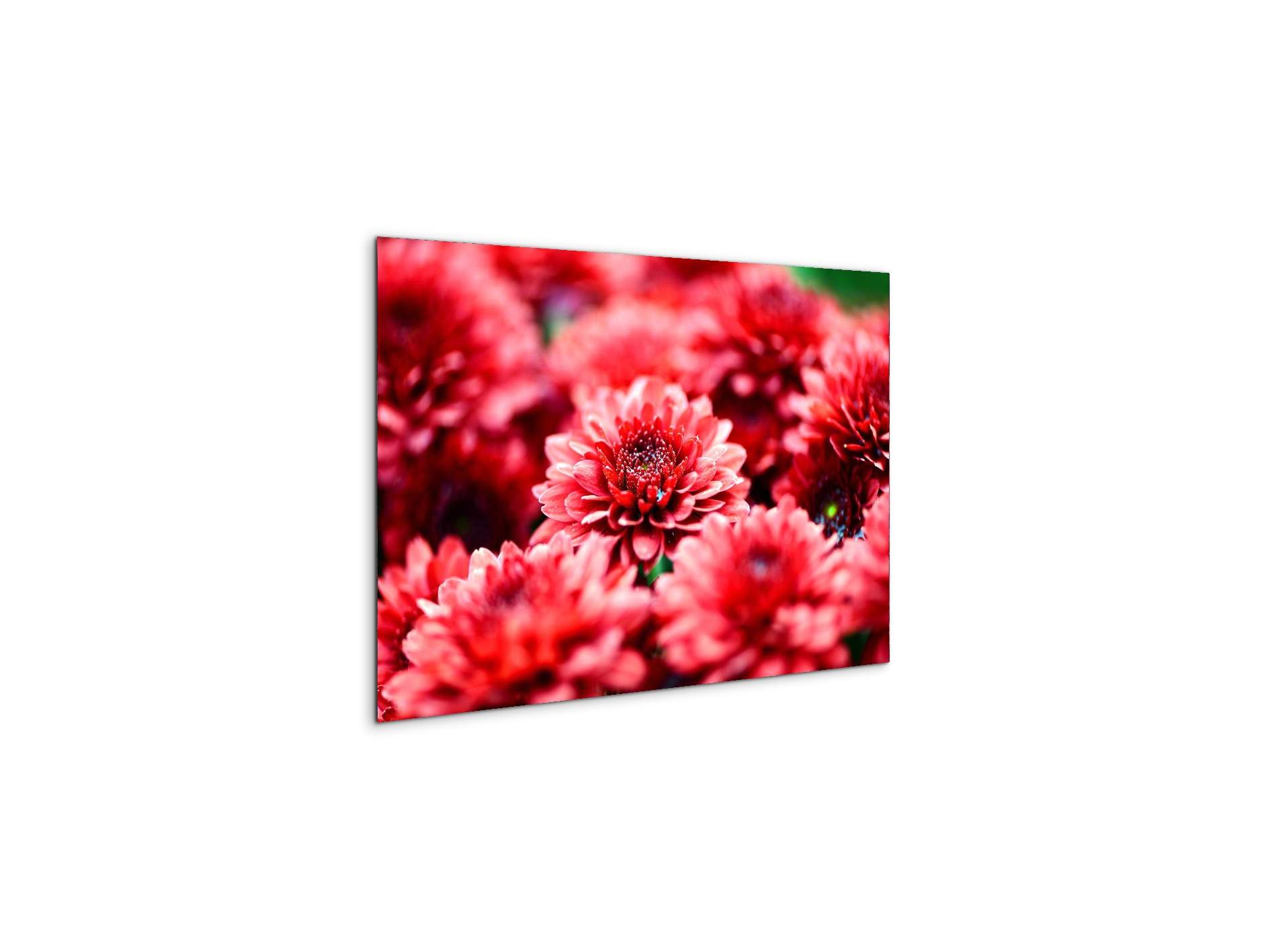 red-flowersas92347-#materiale_MetalArt Materic/dimensioni_50x33,33