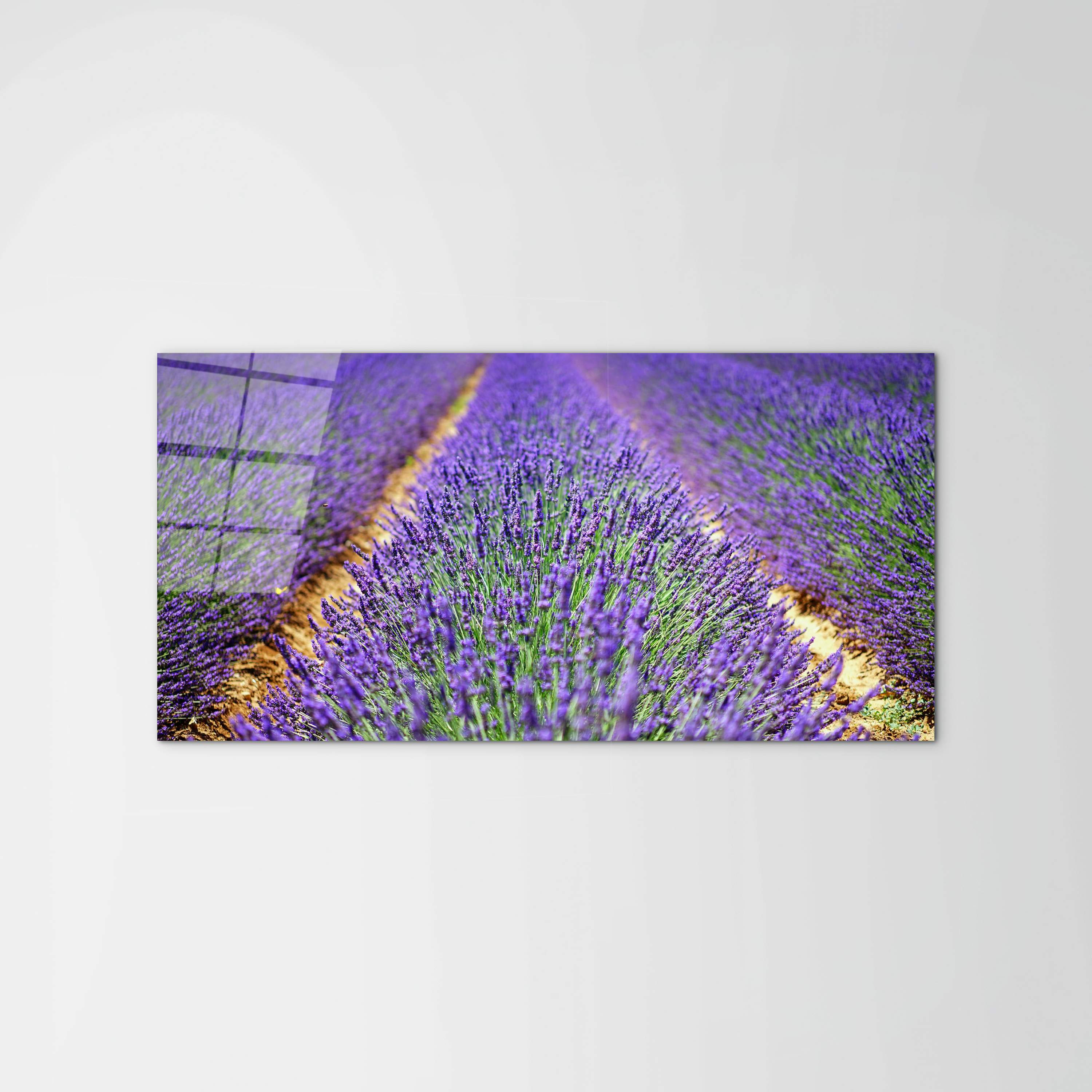 lavandaas92349-#materiale_CrystalArt/dimensioni_100x50