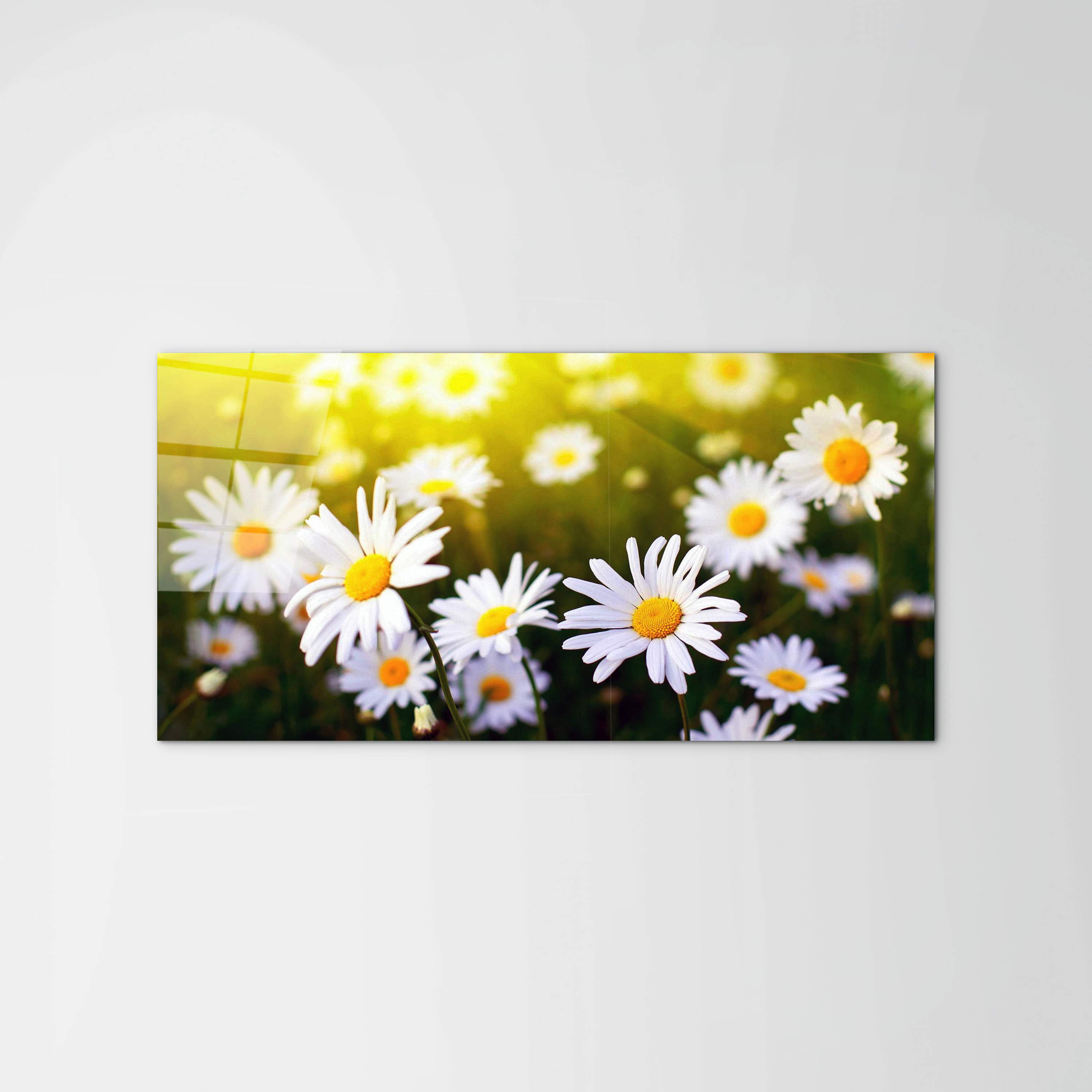 margherite-2as92354-#materiale_CrystalArt/dimensioni_100x50