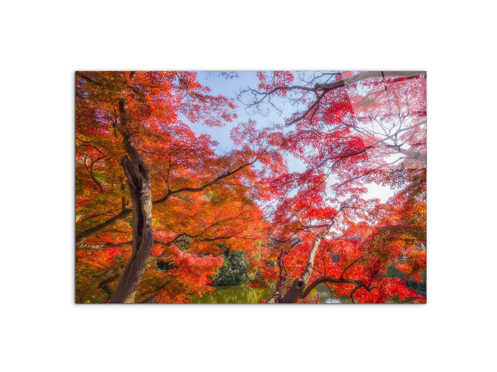 autunnoas92358-#materiale_CrystalArt/dimensioni_79,5x53