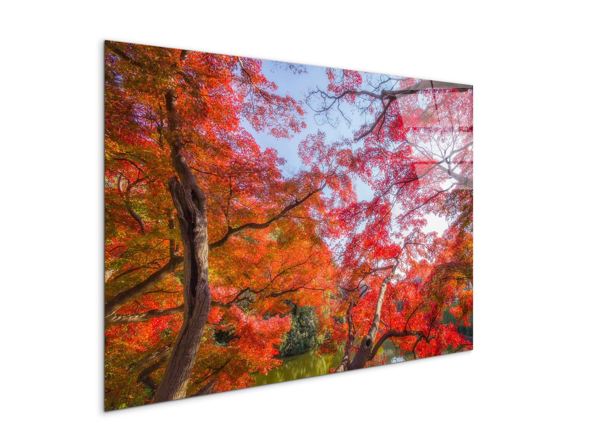 autunnoas92358-#materiale_CrystalArt/dimensioni_79,5x53