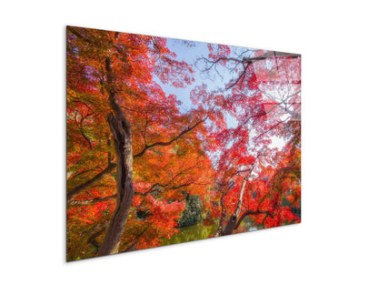 autunnoas92358-#materiale_CrystalArt/dimensioni_79,5x53