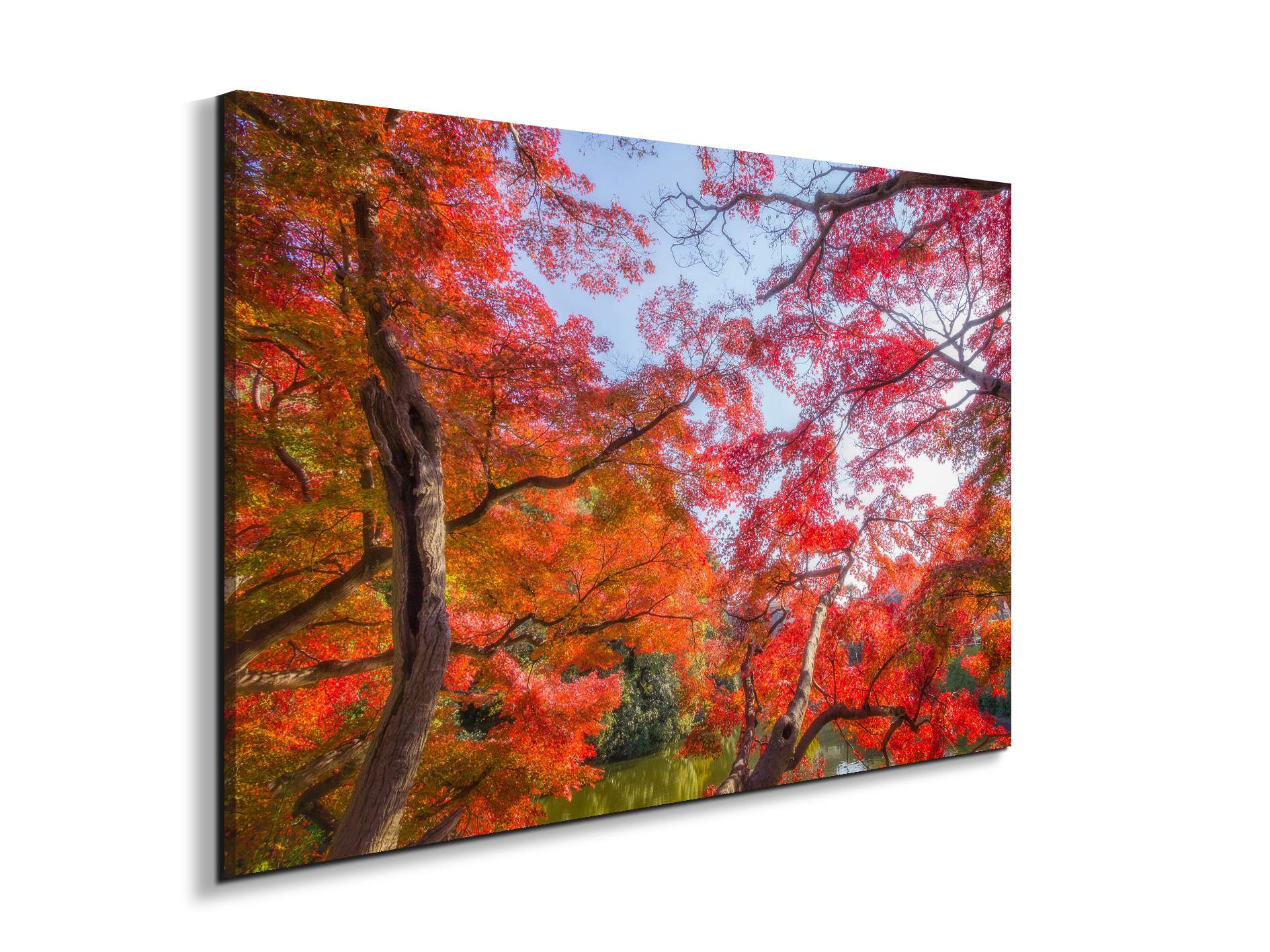 autunnoas92358-#materiale_EarthArt/dimensioni_79,5x53