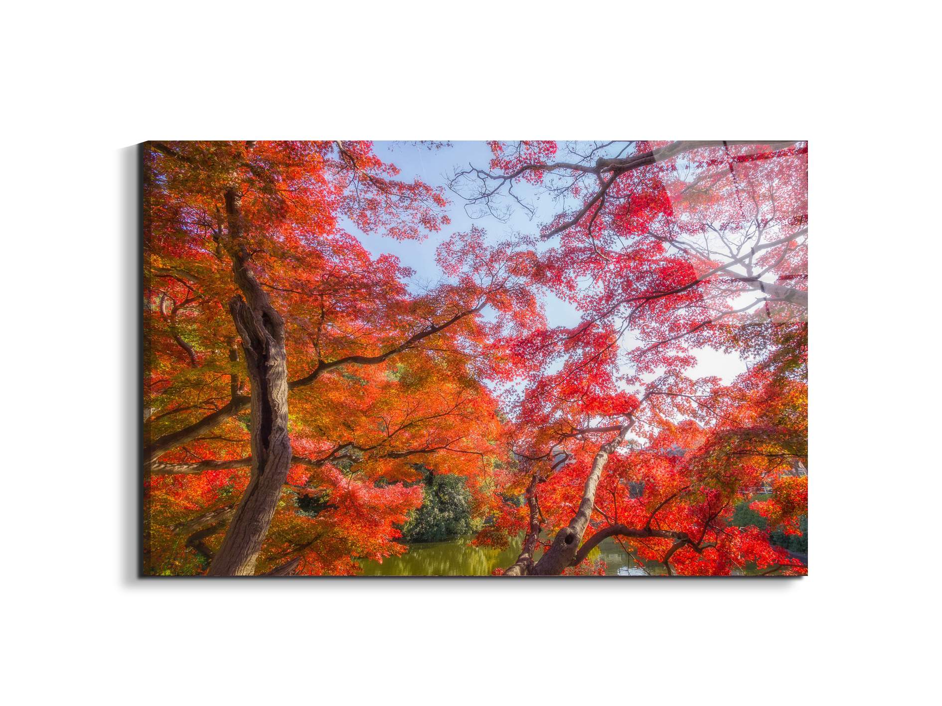 autunnoas92358-#materiale_EarthArt Total Gloss/dimensioni_79,5x53
