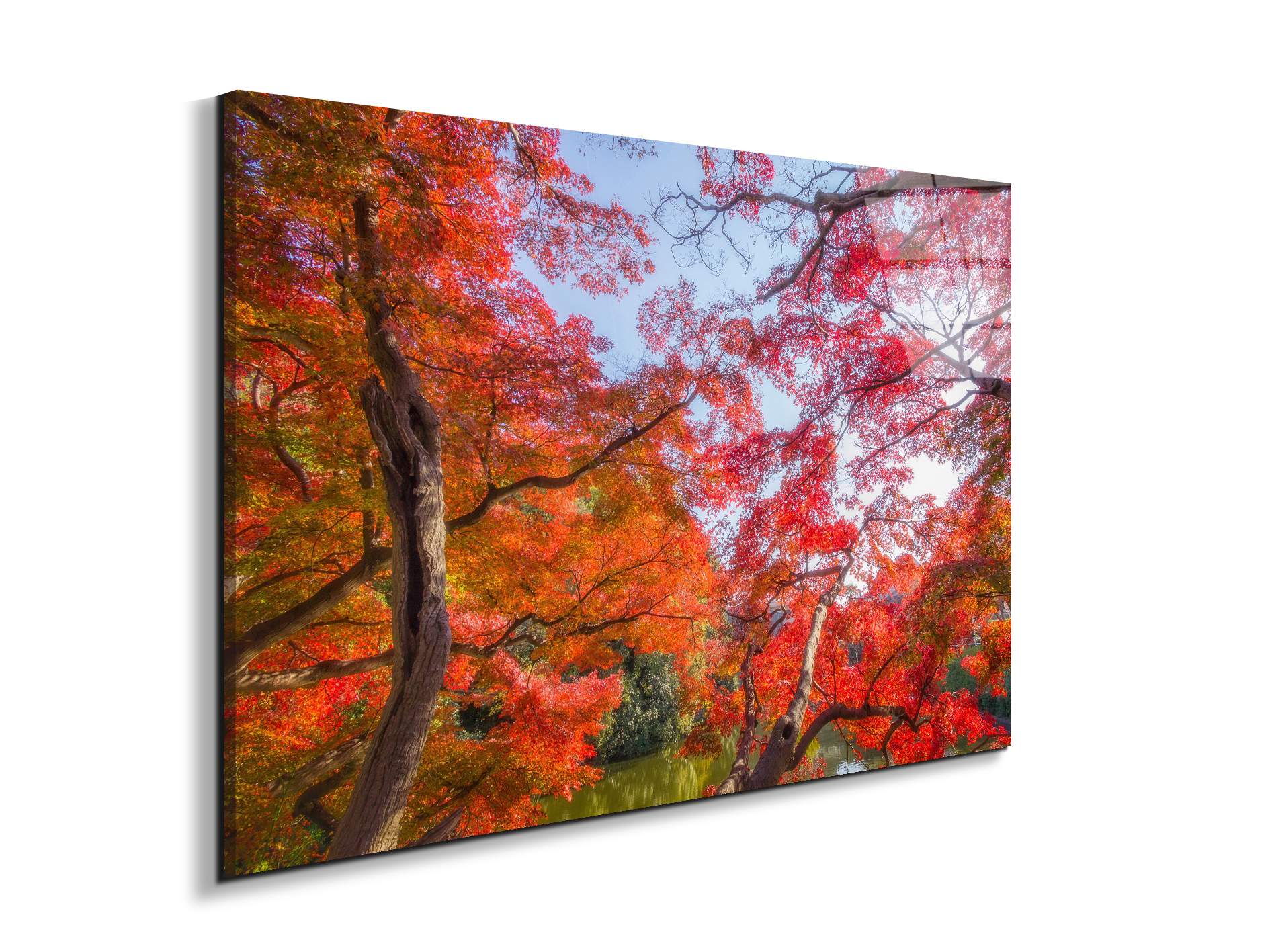 autunnoas92358-#materiale_EarthArt Total Gloss/dimensioni_79,5x53