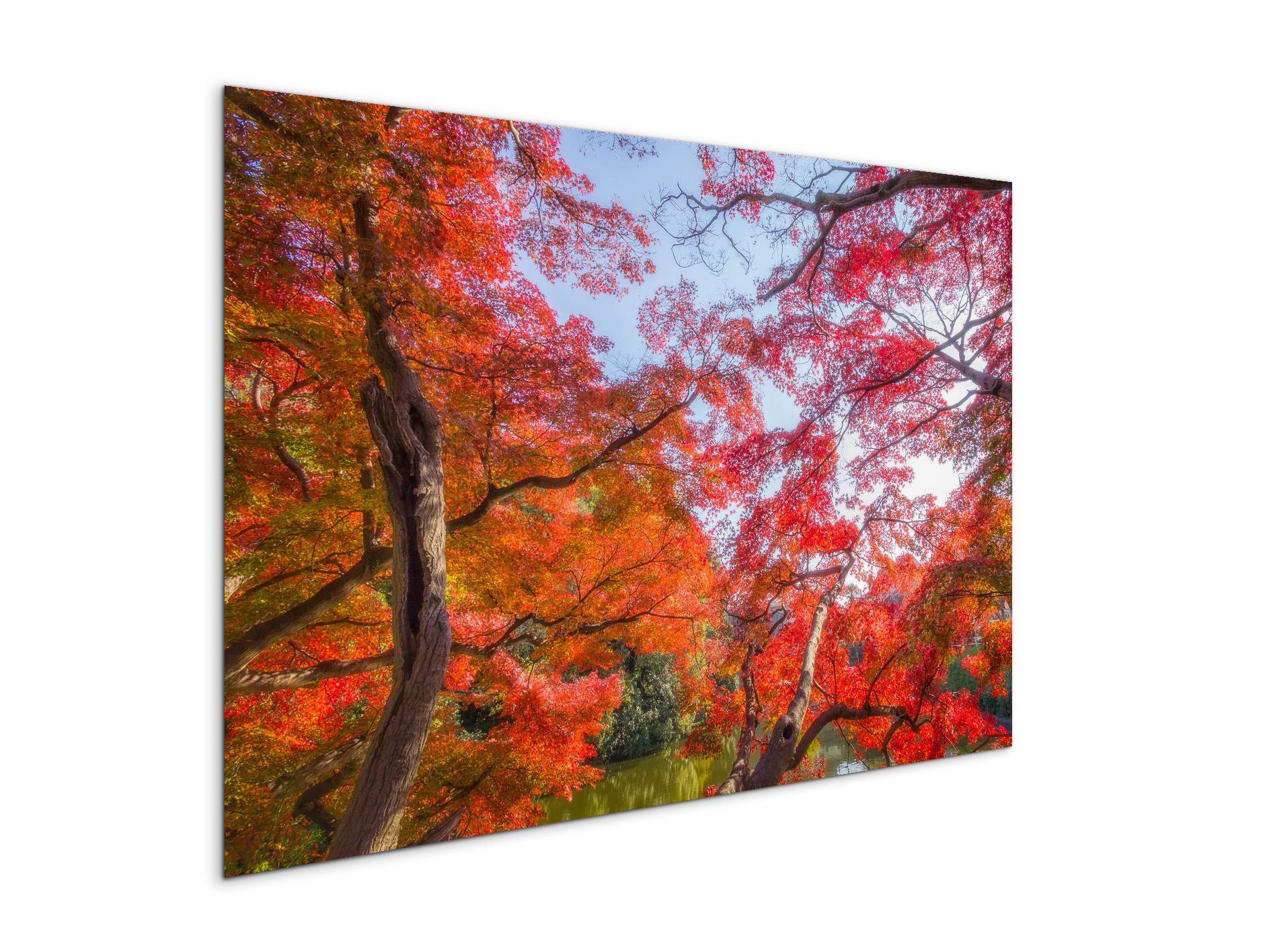 autunnoas92358-#materiale_MetalArt Materic/dimensioni_79,5x53