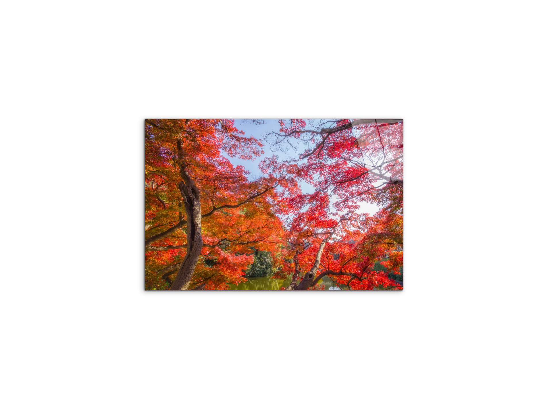 autunnoas92358-#materiale_CrystalArt/dimensioni_50x33,33